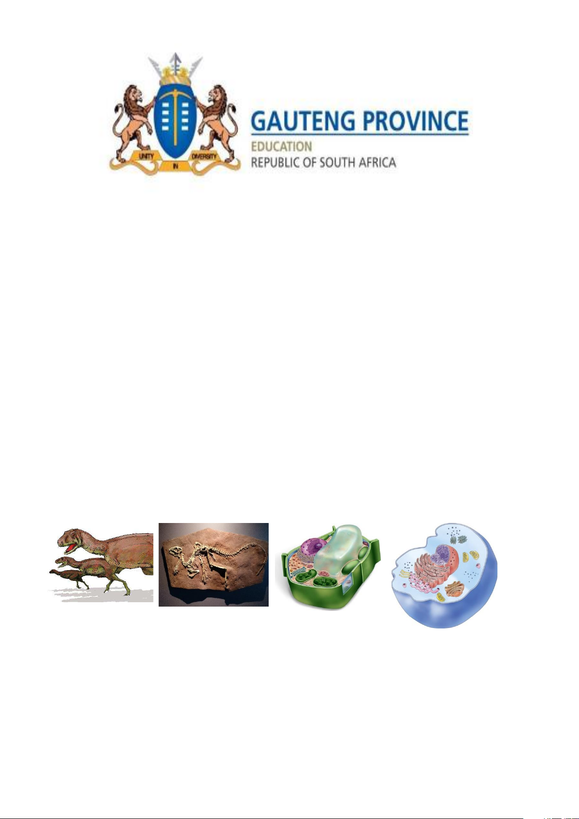 LIFE SCIENCES GRADE 10: HISTORY OF LIFE ON EARTH NOTES & EXAM TIPS ...