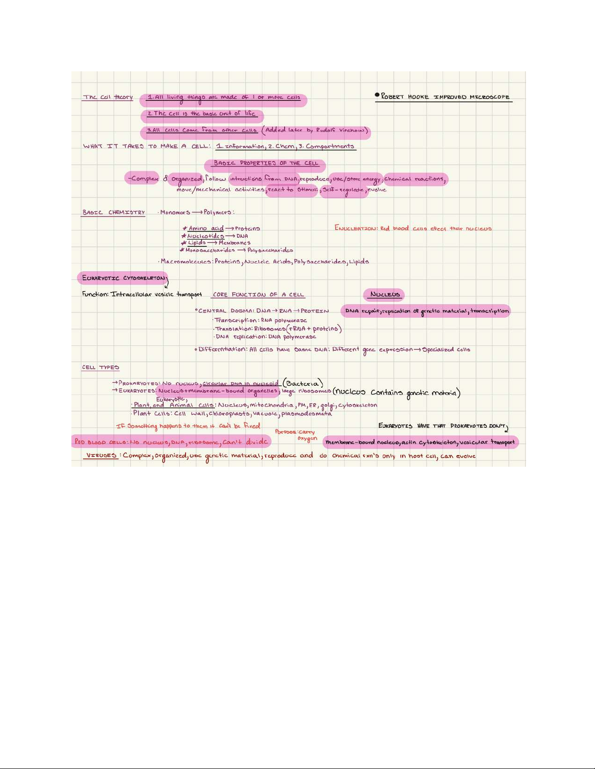 Complex Nucleus Cell Theory and Basic Cell Biology Concepts: A Study Guide - Studocu