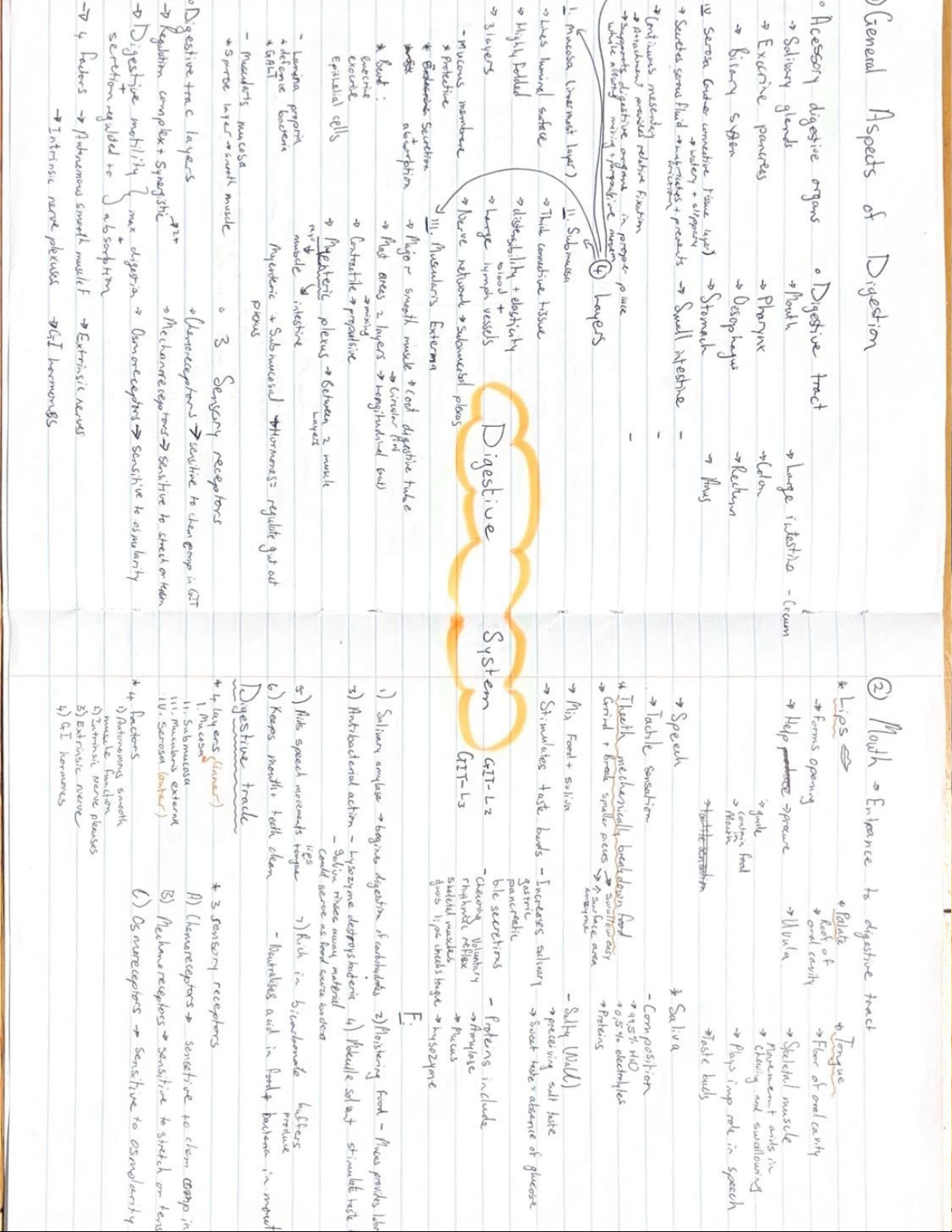 Mind Map: General Aspects of Digestion and Mouth (Course Code: UOM PNS ...