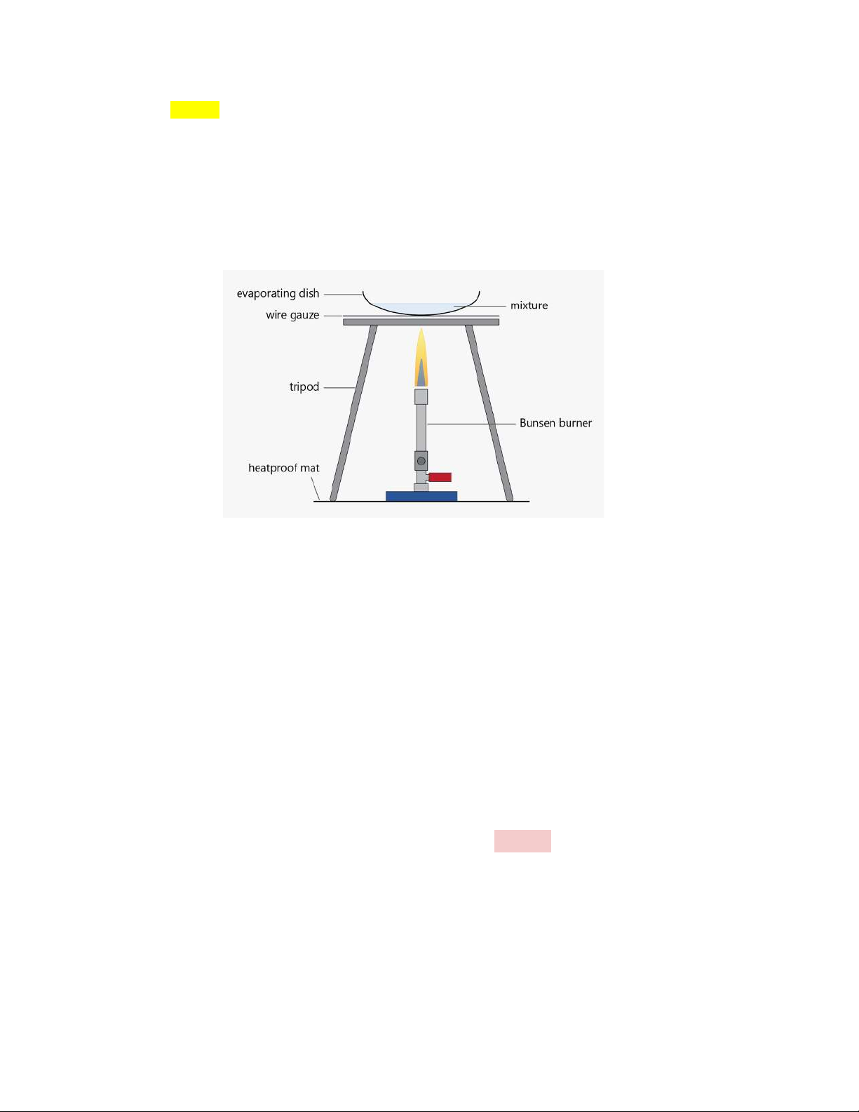 Science Exam - Half Yearly: The Scientist Within and Bunsen Burner ...